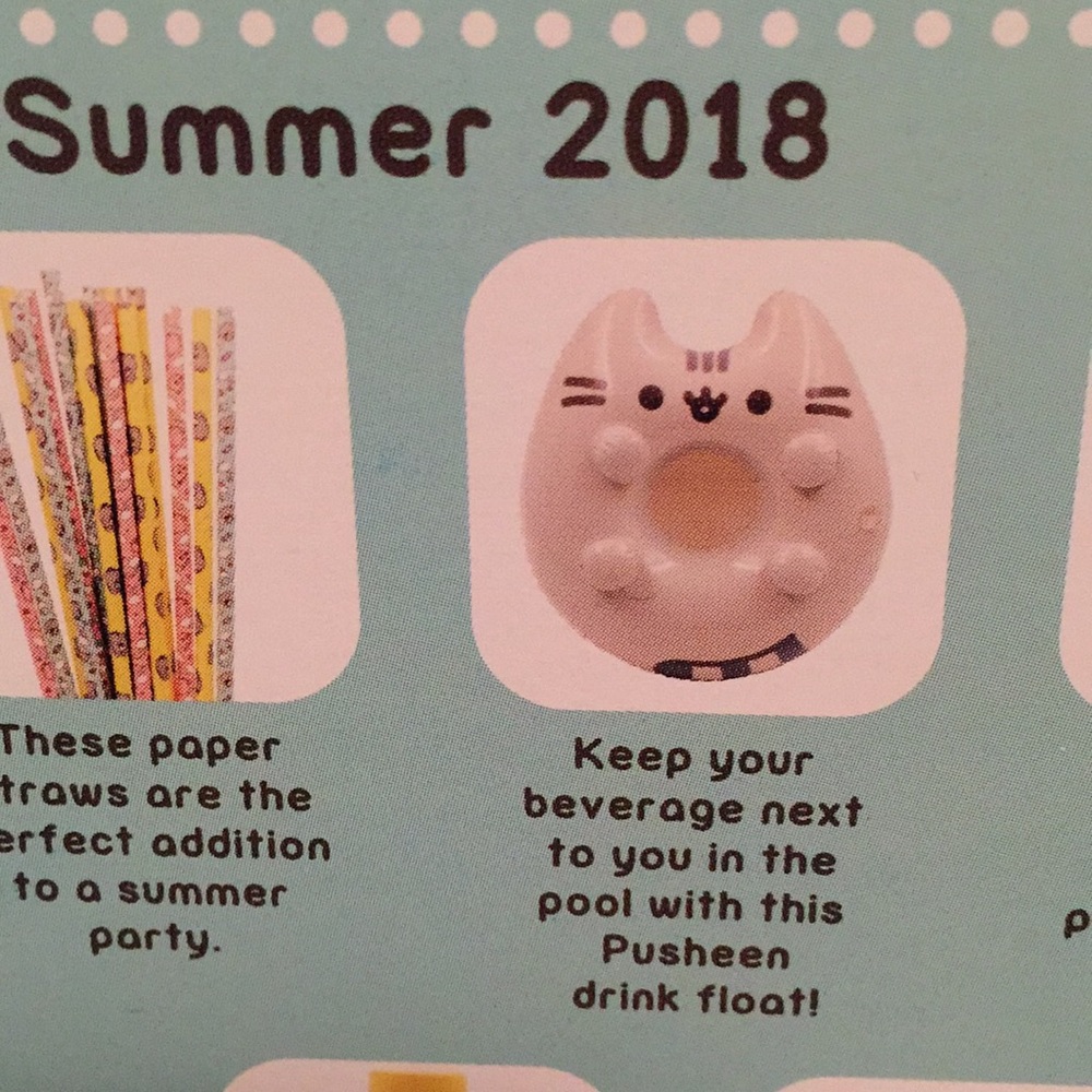 Pusheen box exclusive inflatable drink float
